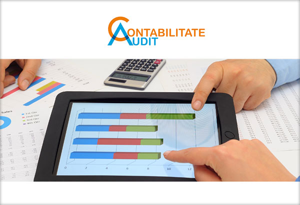 Contabilitate-Audit